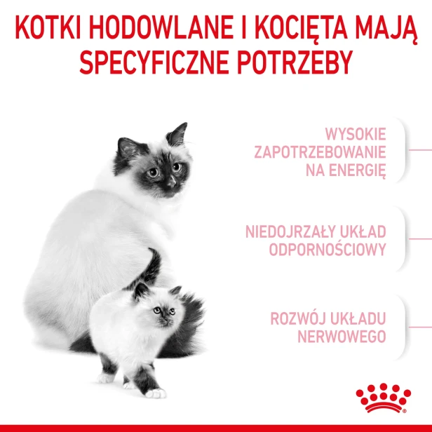 ROYAL CANIN MOTHER &amp; BABYCAT 2KG