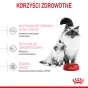 ROYAL CANIN MOTHER &amp; BABYCAT 2KG