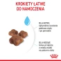 ROYAL CANIN MOTHER &amp; BABYCAT 2KG