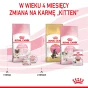 ROYAL CANIN MOTHER &amp; BABYCAT 2KG
