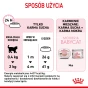 ROYAL CANIN MOTHER &amp; BABYCAT 2KG