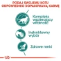 ROYAL CANIN INSTINCTIVE +7 12X85G