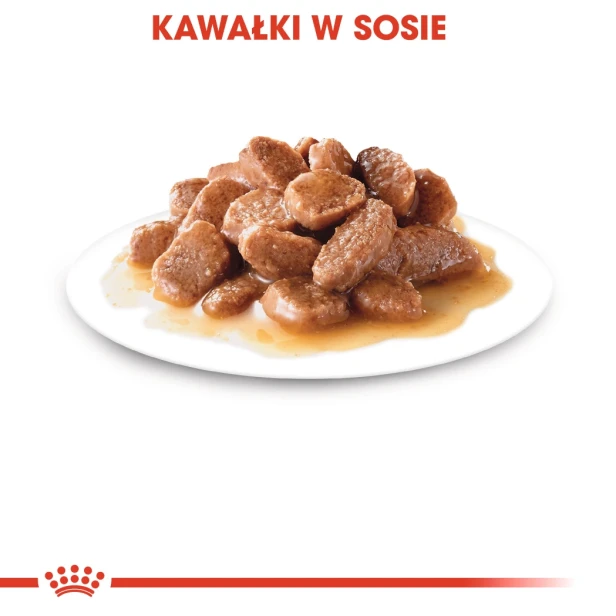 ROYAL CANIN INSTINCTIVE GRAVY 12X85G