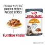 ROYAL CANIN INTENSE BEAUTY GRAVY 12X85G