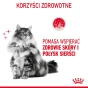 ROYAL CANIN INTENSE BEAUTY GRAVY 12X85G