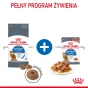 ROYAL CANIN LIGHT WEIGHT CARE W SOSIE 12X85G
