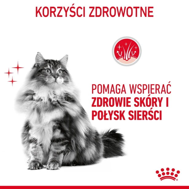 ROYAL CANIN INTENSE BEAUTY GELEE 12X85G