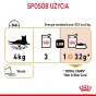 ROYAL CANIN INTENSE BEAUTY GELEE 12X85G