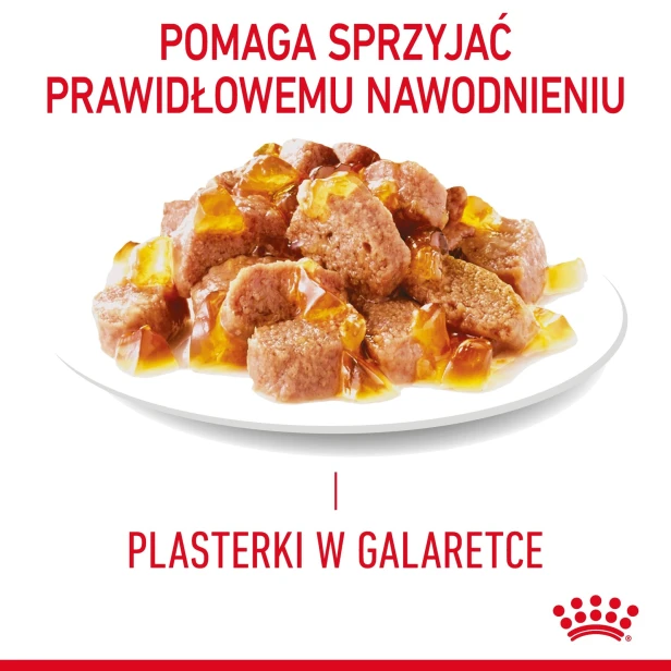 ROYAL CANIN LIGHT WEIGHT CARE W GALARETCE 12X85G