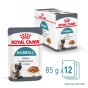 ROYAL CANIN HAIRBALL CARE 12X85G
