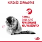 ROYAL CANIN HAIRBALL CARE 12X85G