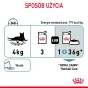 ROYAL CANIN HAIRBALL CARE 12X85G