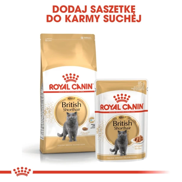 ROYAL CANIN BRITISH SHORTHAIR ADULT 12X85G