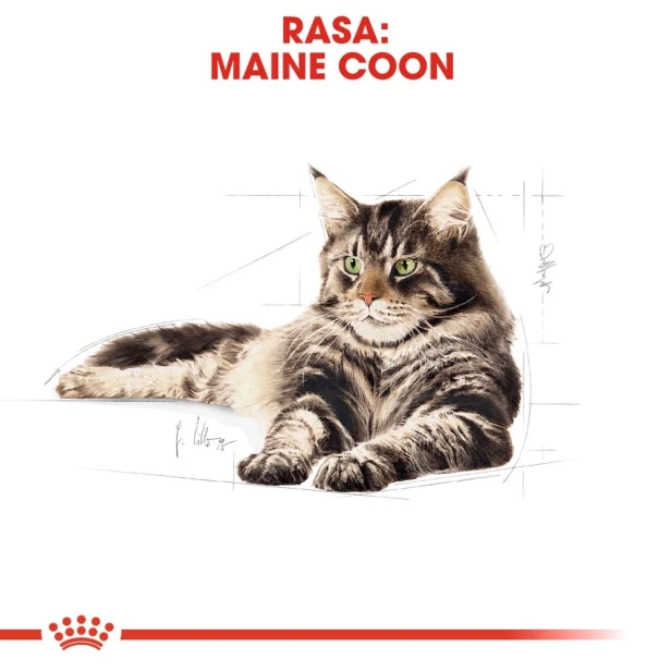 ROYAL CANIN MAINE COON ADULT 12X85G
