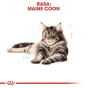 ROYAL CANIN MAINE COON ADULT 12X85G