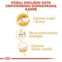 ROYAL CANIN MAINE COON ADULT 12X85G