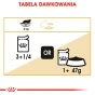 ROYAL CANIN MAINE COON ADULT 12X85G