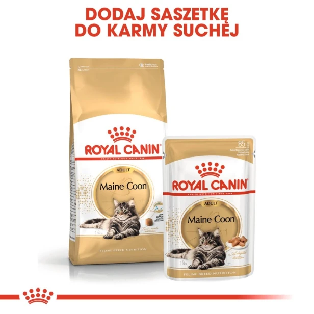 ROYAL CANIN MAINE COON ADULT 12X85G