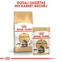 ROYAL CANIN MAINE COON ADULT 12X85G