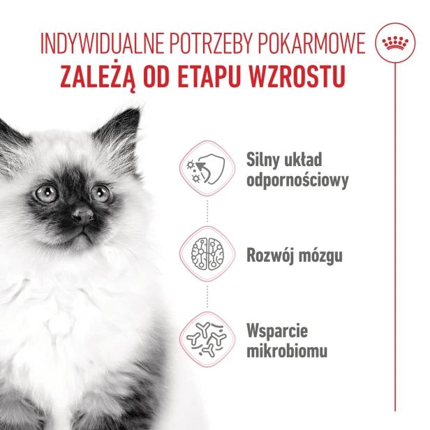 ROYAL CANIN KITTEN 2KG