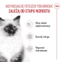 ROYAL CANIN KITTEN 2KG