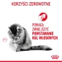 ROYAL CANIN HAIRBALL CARE 400G