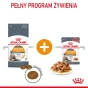 ROYAL CANIN HAIR&amp;SKIN CARE 10KG