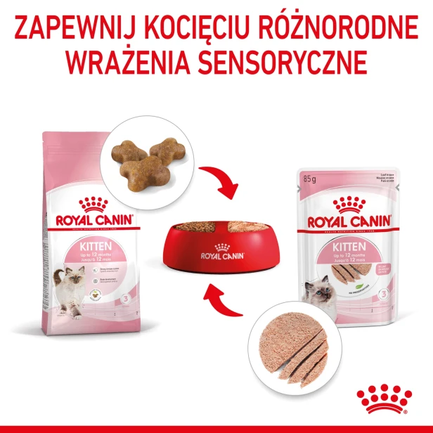 ROYAL CANIN KITTEN PASZTET 12X85G
