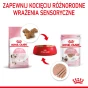 ROYAL CANIN KITTEN PASZTET 12X85G