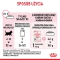 ROYAL CANIN KITTEN PASZTET 12X85G