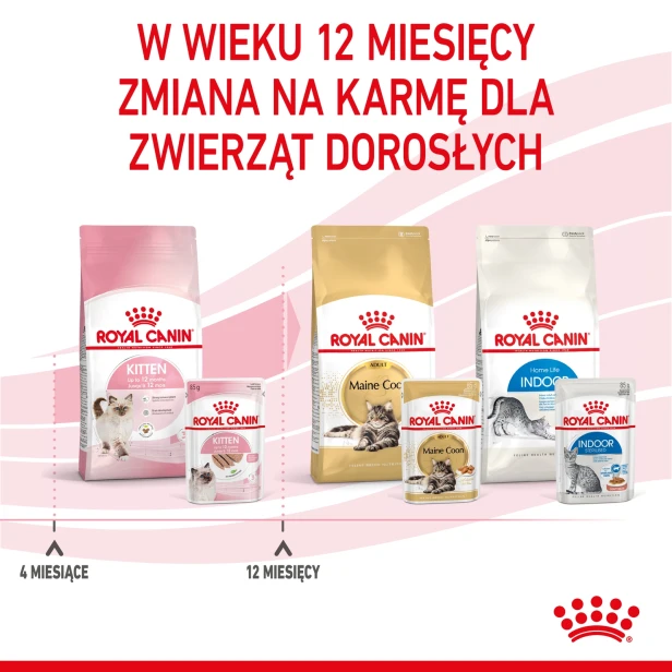 ROYAL CANIN KITTEN PASZTET 12X85G