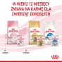 ROYAL CANIN KITTEN PASZTET 12X85G