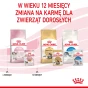 ROYAL CANIN KITTEN INSTINCTIVE W GALARETCE 12X85G