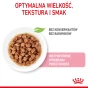 ROYAL CANIN KITTEN INSTINCTIVE W SOSIE 12X85G