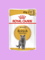 ROYAL CANIN BRITISH SHORTHAIR ADULT 12X85G