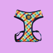 ZEE DOG Szelki Dla Psa Phantom Air Mesh XS.png