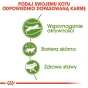 ROYAL CANIN OUTDOOR 400G