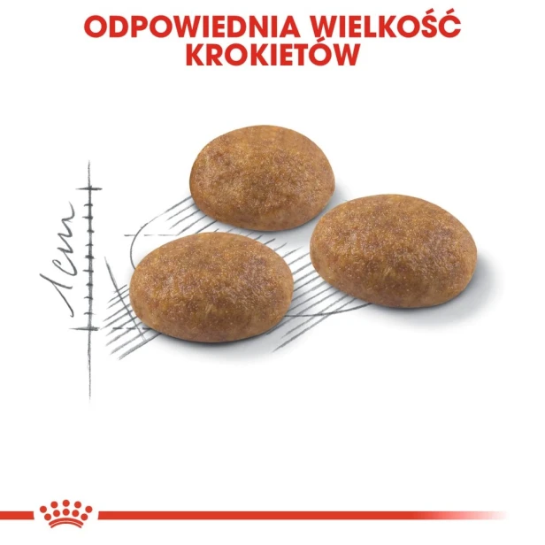 ROYAL CANIN OUTDOOR 400G