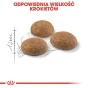ROYAL CANIN OUTDOOR 400G