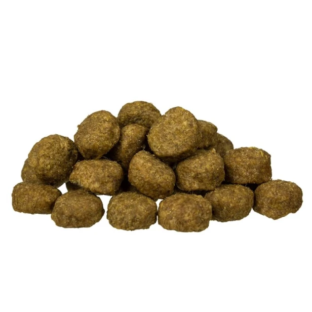 BOSCH JUNIOR LAMB &amp; RICE 15KG